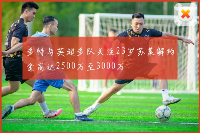 多特与英超多队关注23岁苏莱解约金高达2500万至3000万